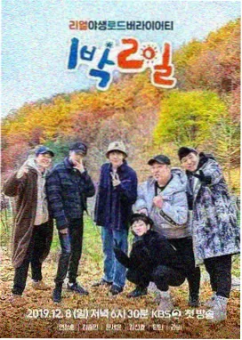 小镇慢直播 生活观察综艺海报